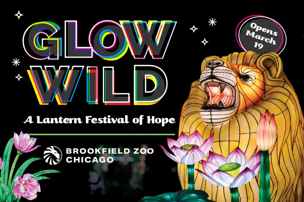 Glow Wild | 03/19/2026 | Choose Chicago