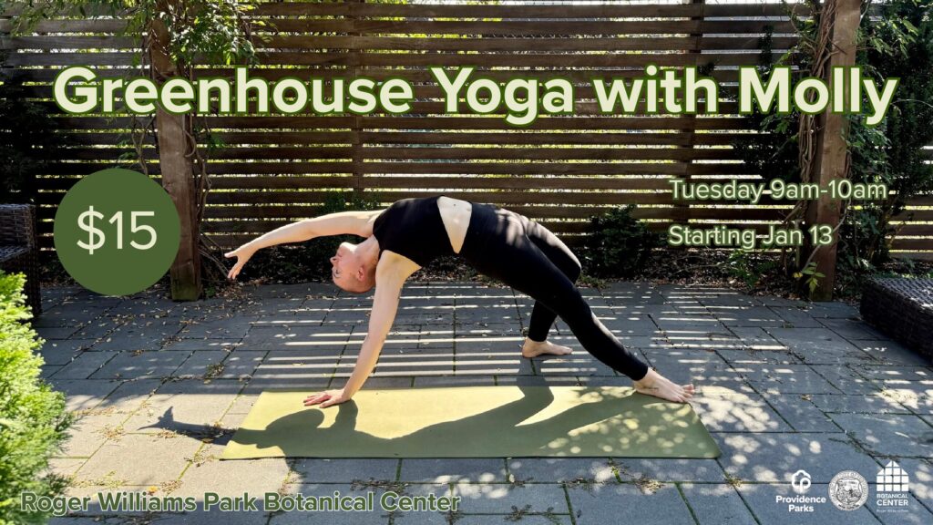 Greenhouse Yoga with Molly