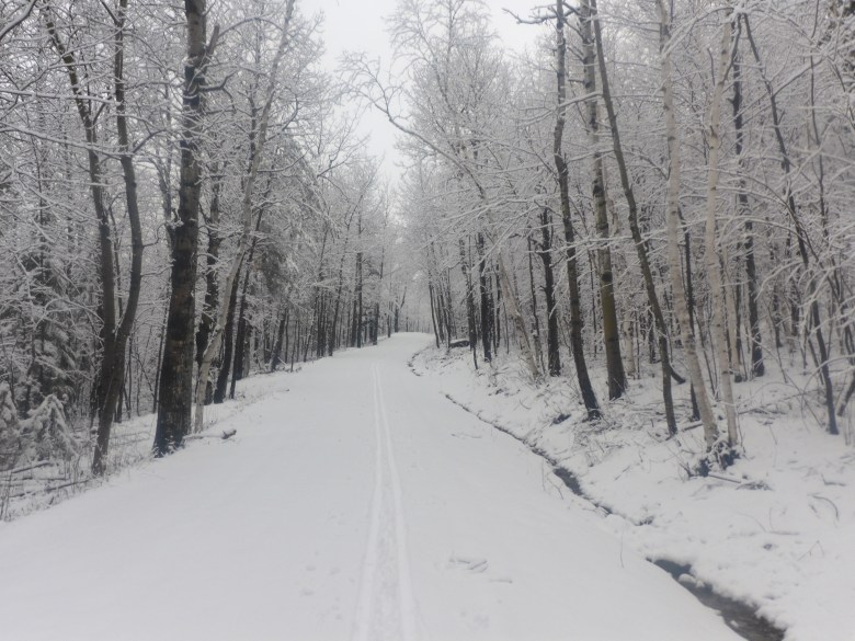 I wouldn’t be without winter in Maine