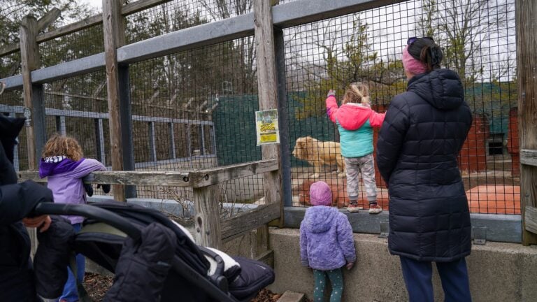 The battle over the aging Attleboro Zoo is getting wild