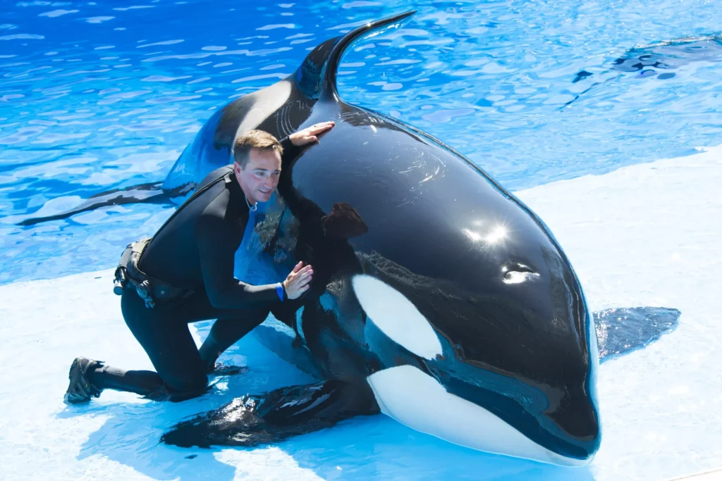 U.S. Department of Justice sues SeaWorld over disability rights violation
