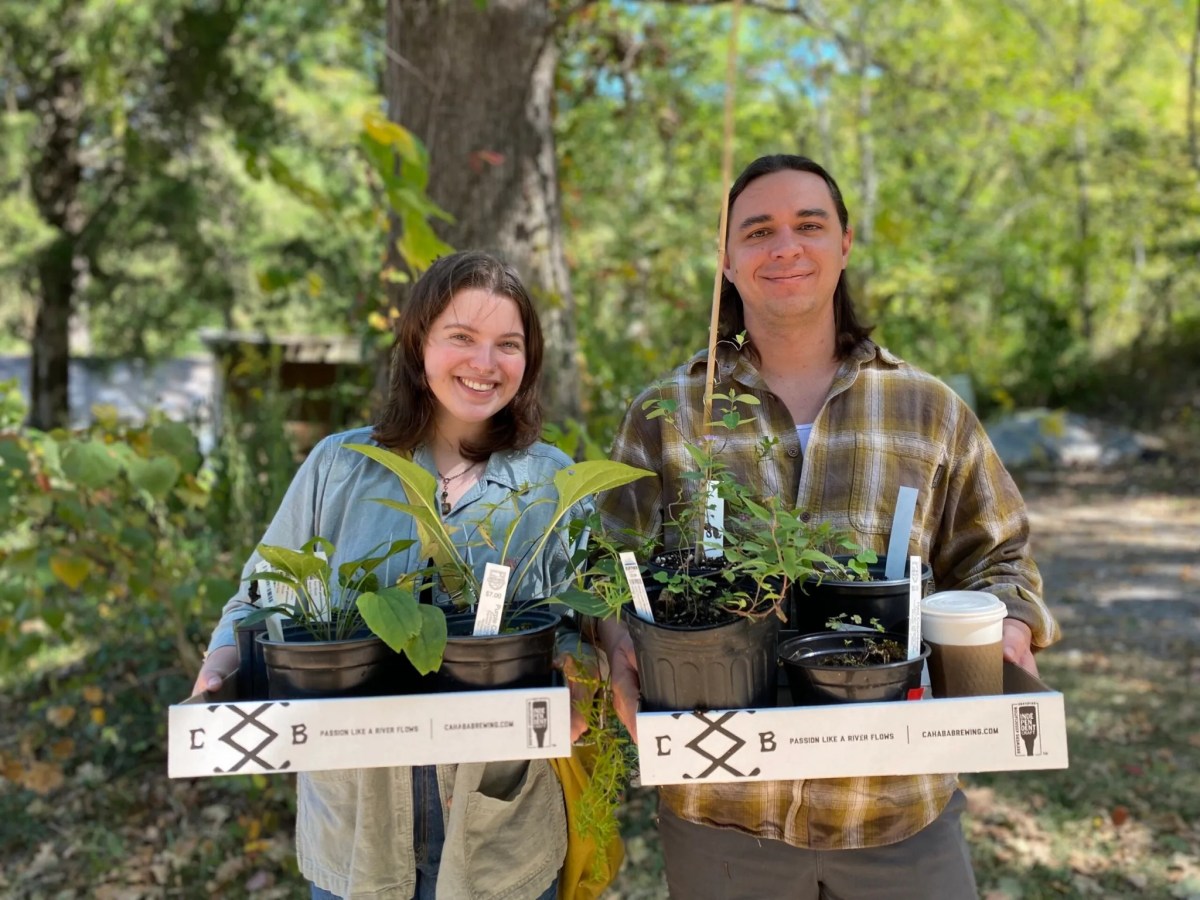 10 native plant sales + shops to know in Birmingham 2 plant sale