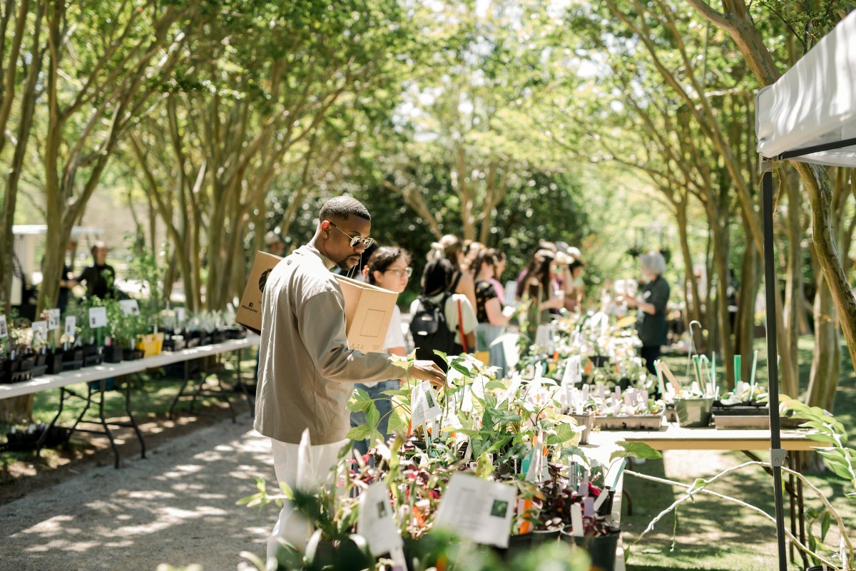 10 native plant sales + shops to know in Birmingham 4 fall plant sale