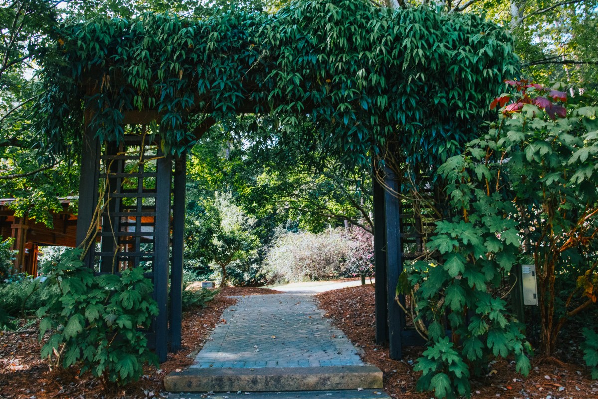 10 native plant sales + shops to know in Birmingham 3 Aldridge Gardens