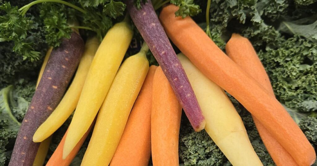 Tips for planting and harvesting carrots in West Virginia | Features/Entertainment