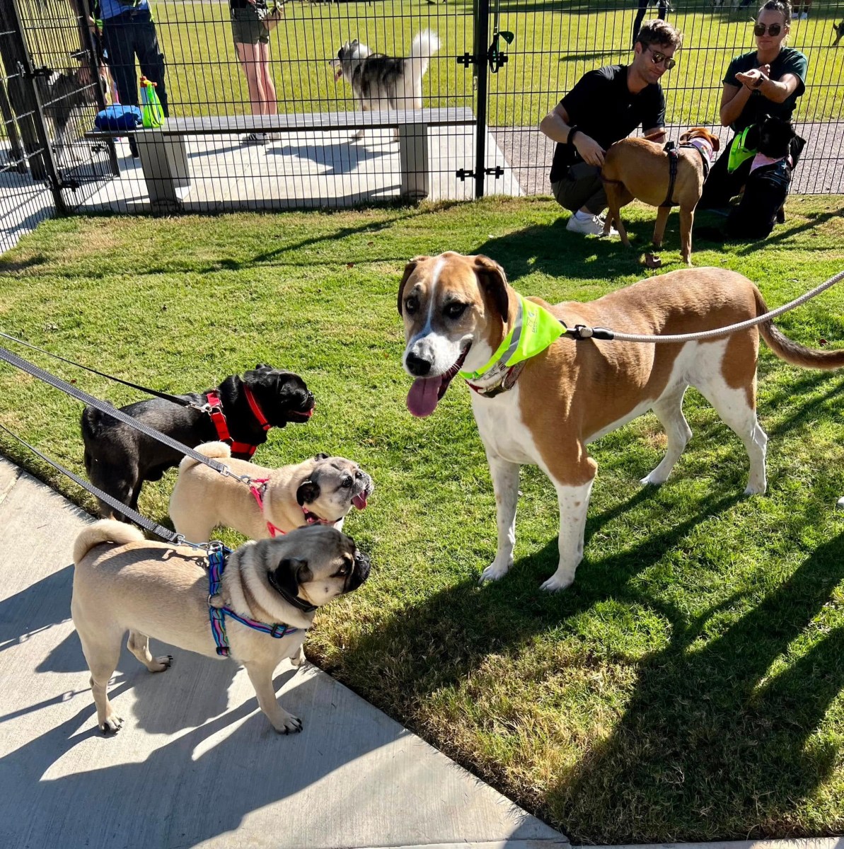 City of Irondale, Tails by the Rails dog park