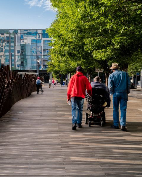 three people — one using a motorized wheelchair, two on foot — traverse a wide wooden walkway beneath flourishing green trees