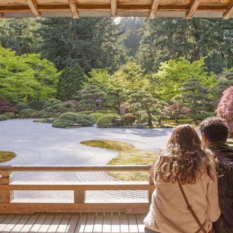 A couple sits viewing a serene flat rock garden surrounded by trees and shrubs.