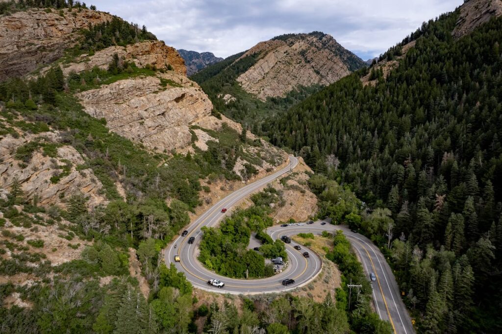 Dismantling the U.S. Forest Service harms public lands