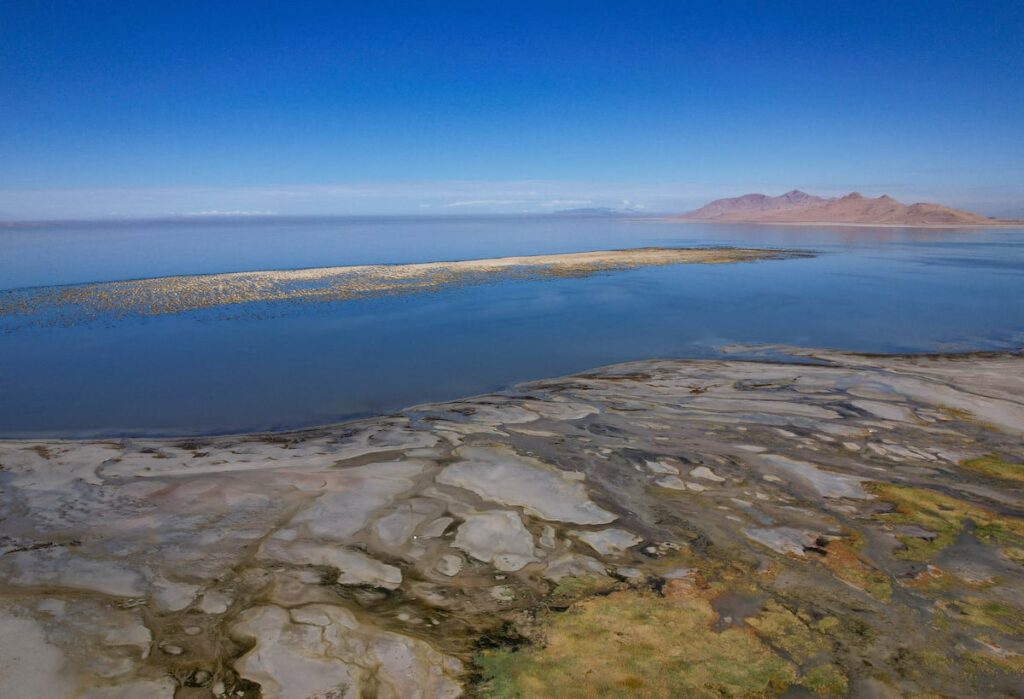 Utah business leaders commit $30M toward restoring the Great Salt Lake before 2034 Olympics