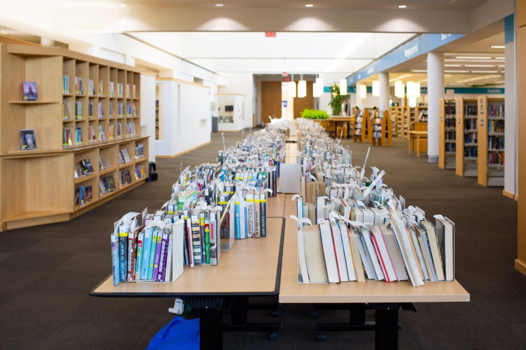 Chapel Hill Public Library At Risk of Losing County Funding 