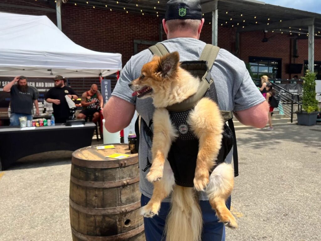 25 weekend events—Do Dah Day, Birmingham Taco Fest + more (May 15-17)
