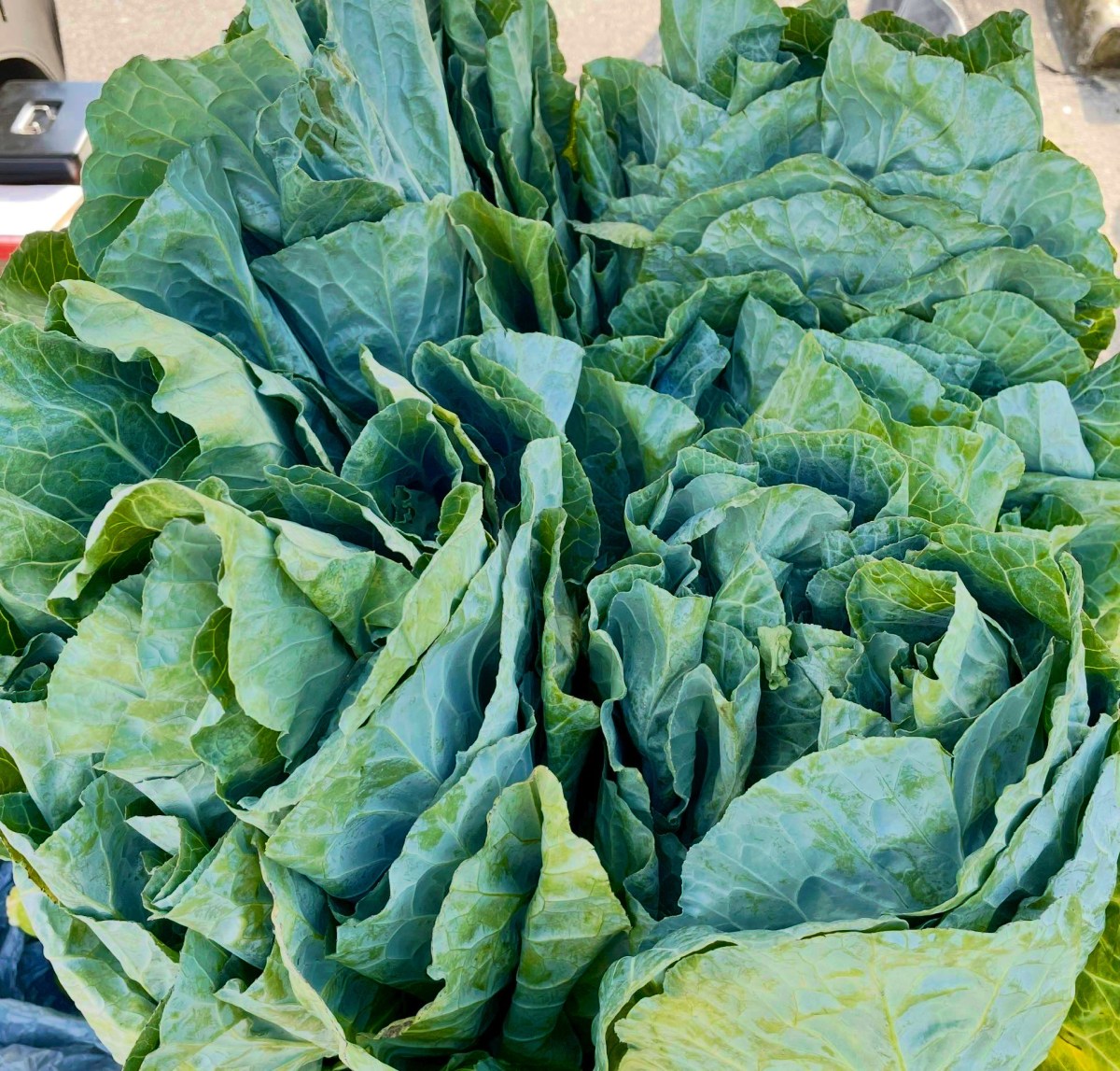 City of Irondale Farmers Market