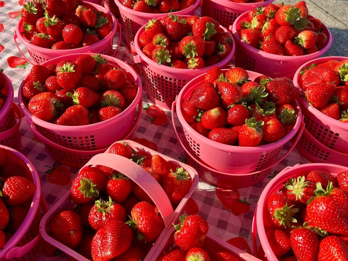 City of Irondale Farmers Market