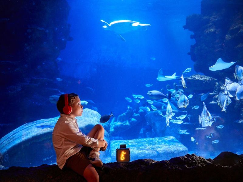 The 24 coolest indoor activities to beat summer heat in Orlando