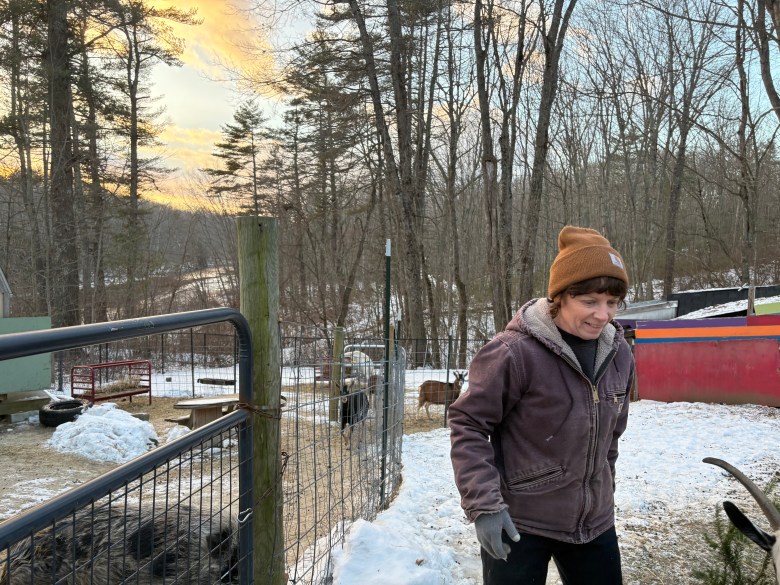 Kennebunk animal sanctuary owner feels caught in limbo over zoning compliance