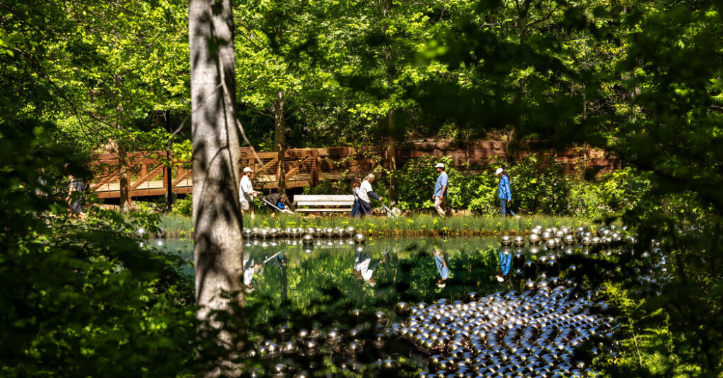 36 Hours in Bentonville, Arkansas: Things to Do and See