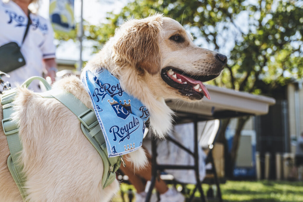 Bark at the Park: Kansas City Royals vs. Cleveland Guardians – Event_Image [EVENT]