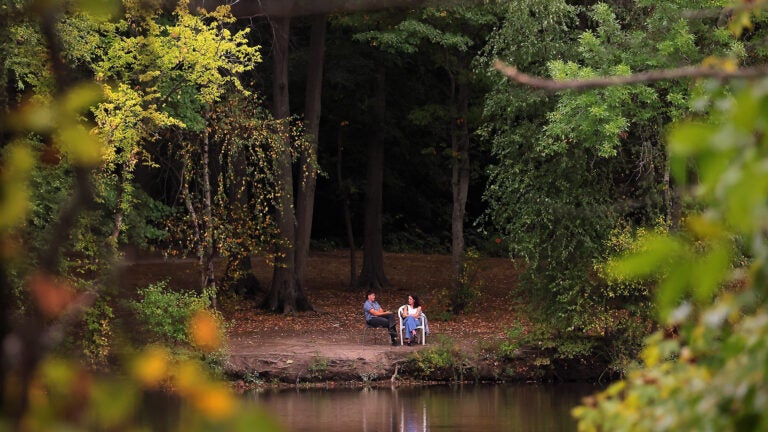 Groups of dead fish have recently been spotted washing ashore at Leverett Pond on the line of Boston and Brookline.