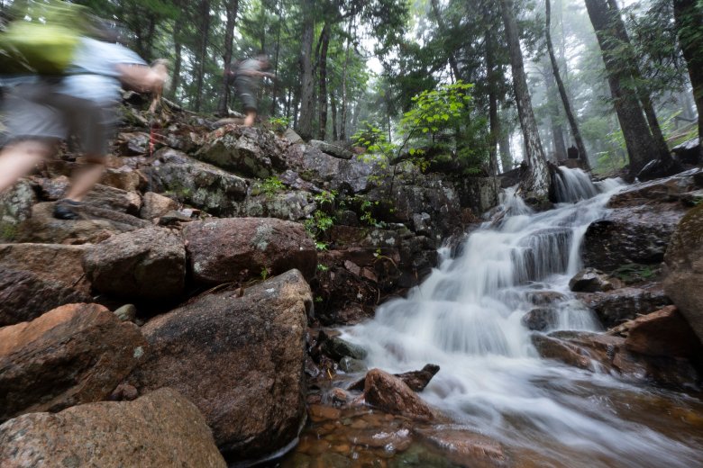 Maine is forged by nature, not AI. Let’s keep it that way.