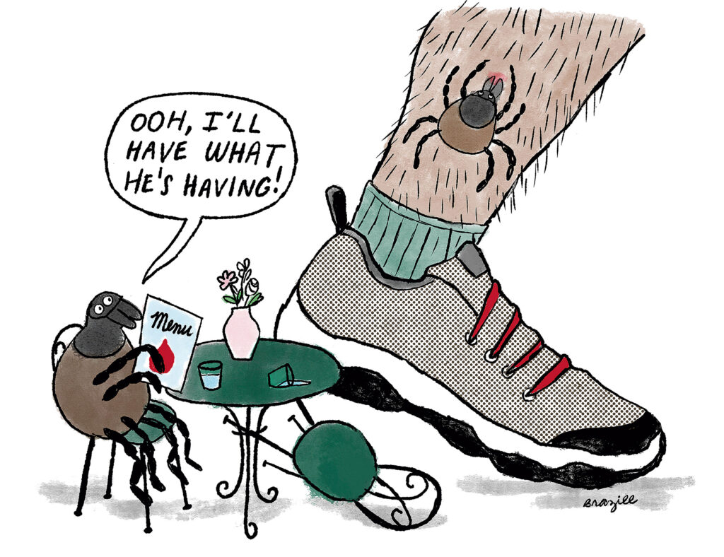 Vermonters Are Being More Careful Outdoors to Avoid Tick Illnesses