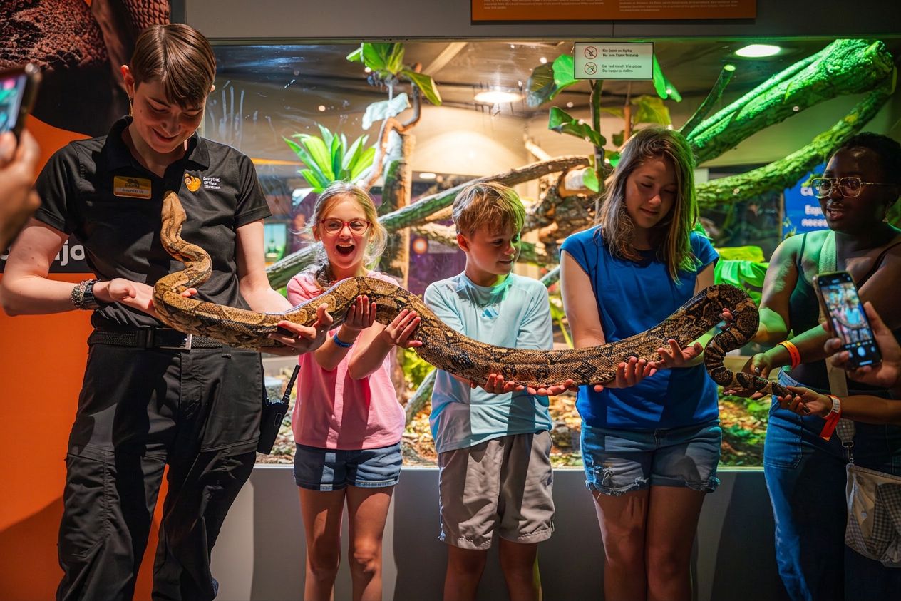 Survival of the Slowest exhibit at McWane Science Center in Birmingham