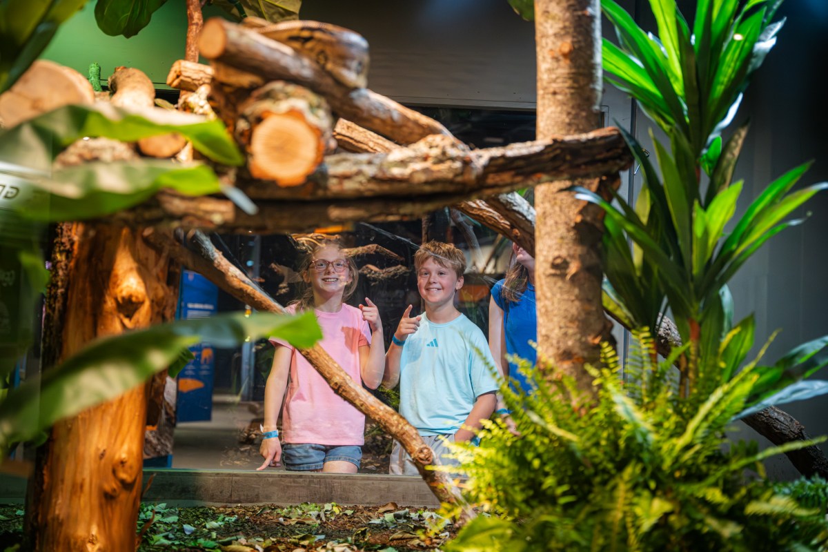 Two smiling children pointing and exploring a nature-themed exhibit with logs and tropical plants at McWane Science Center