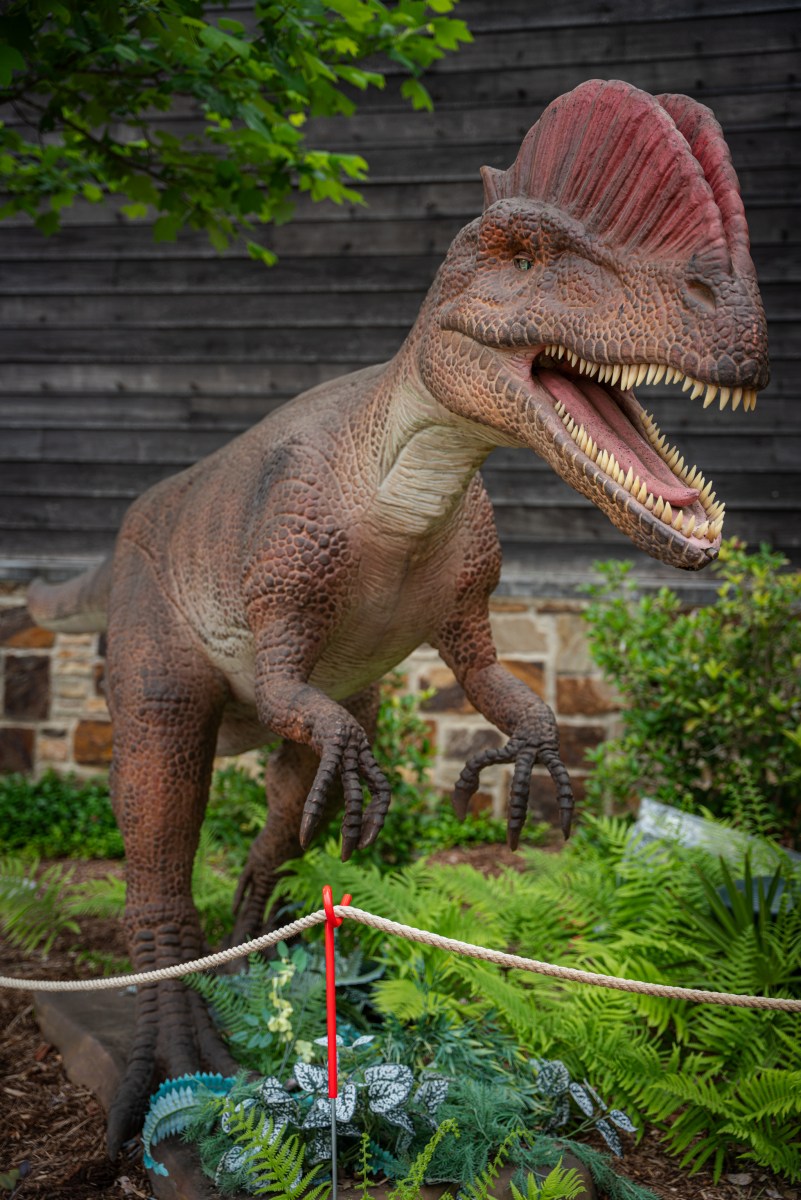 39 July events to experience—festivals, firework shows + more 6 Life-sized animatronic dinosaur with open jaws on display at the Birmingham Zoo's Dino Safari exhibit