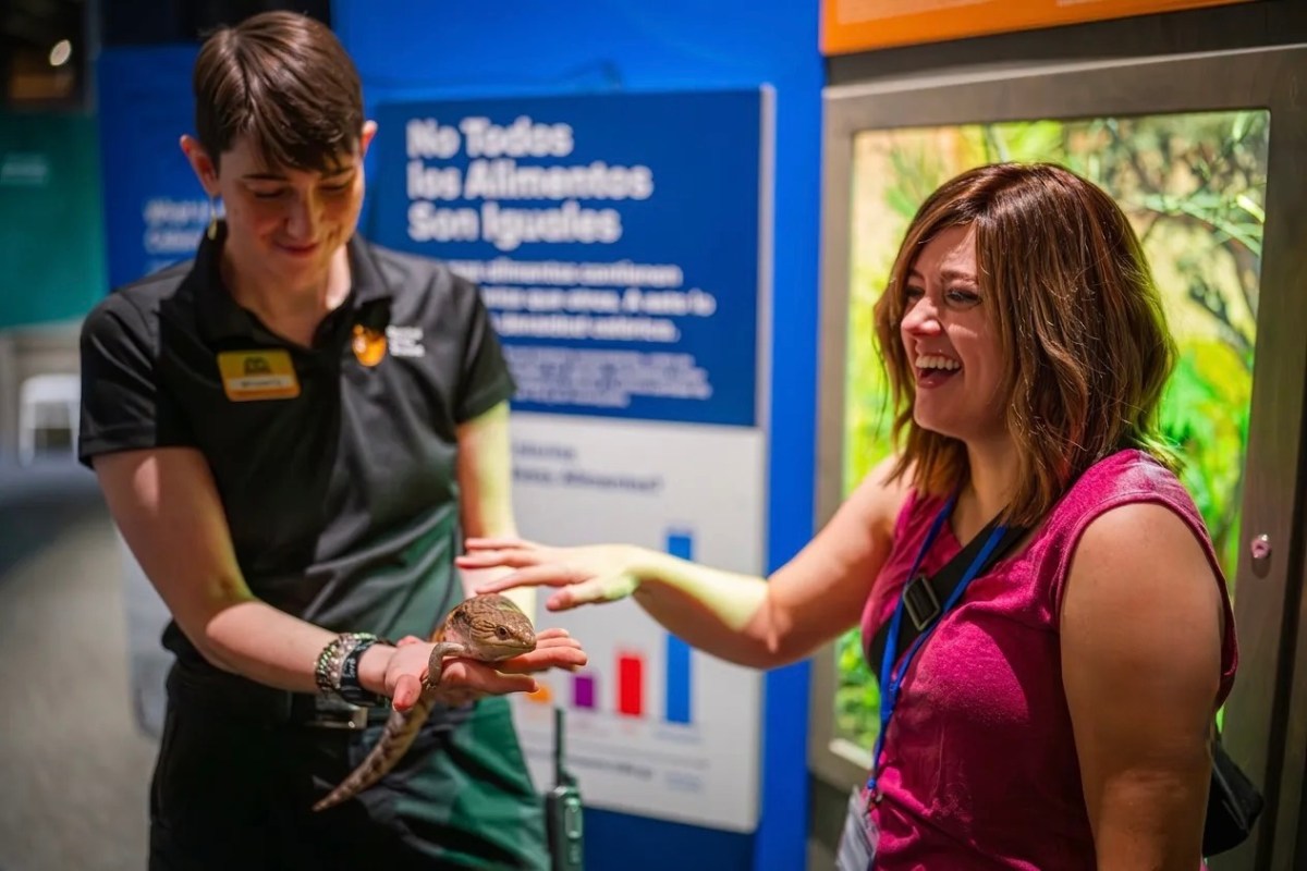 McWane Science Center Survival of the Slowest exhibit in Birmingham