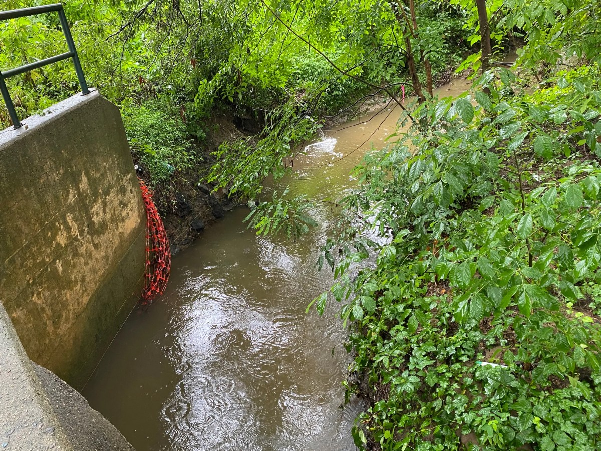 A Test for Trump’s EPA: A Creek That Smells Like Death