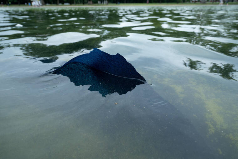 REUTERS/ANNABELLE GORDON
                                Paint peels from the bottom of the Lincoln Memorial Reflecting Pool today after recent renovations following a directive from President Donald Trump to paint it blue ahead of the 250th anniversary of U.S. Independence, in Washington, D.C.