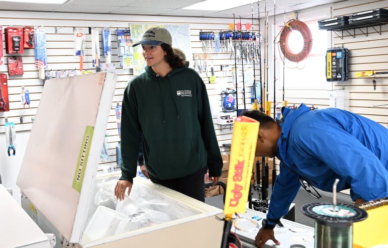 Striped bass anglers help with UMaine study