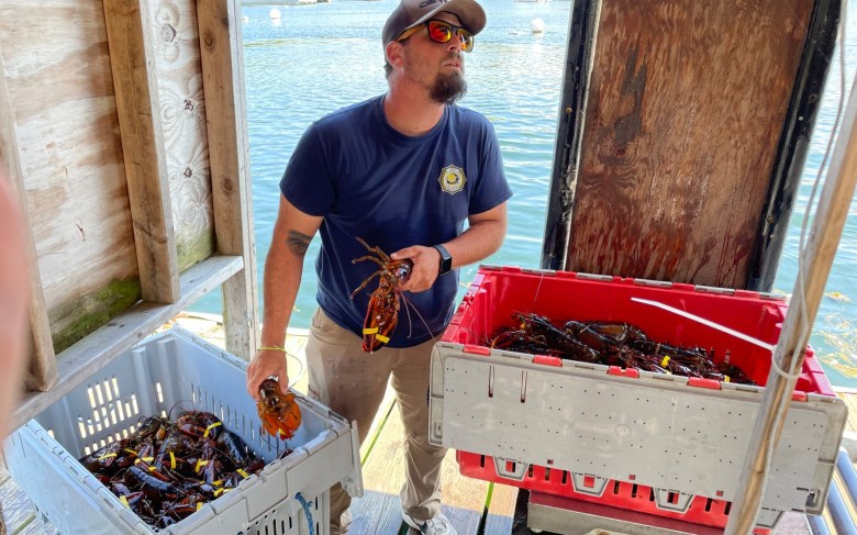 Glen’s Lobsters buys adjacent Angie’s wharf on Mackerel Cove in Harpswell