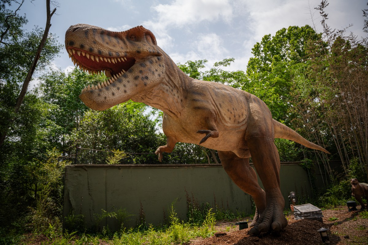 Birmingham Zoo (Nathan Watson / Bham Now)