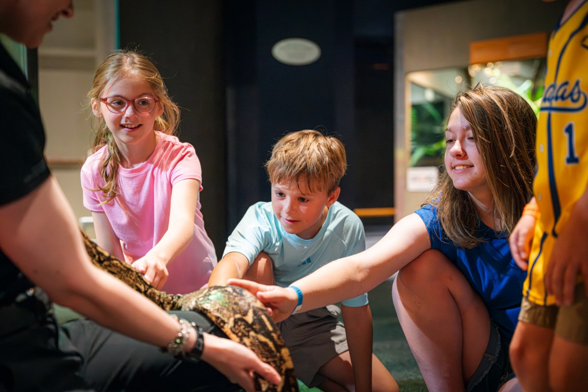 Survival of the Slowest exhibit at McWane Science Center in Birmingham