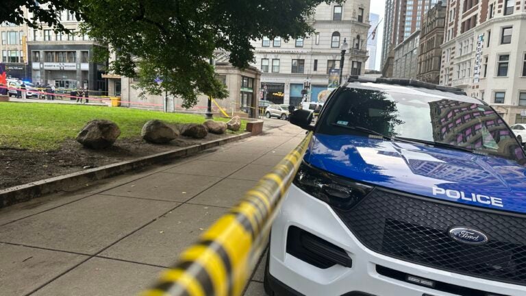 Police identify victim in Boston Common homicide