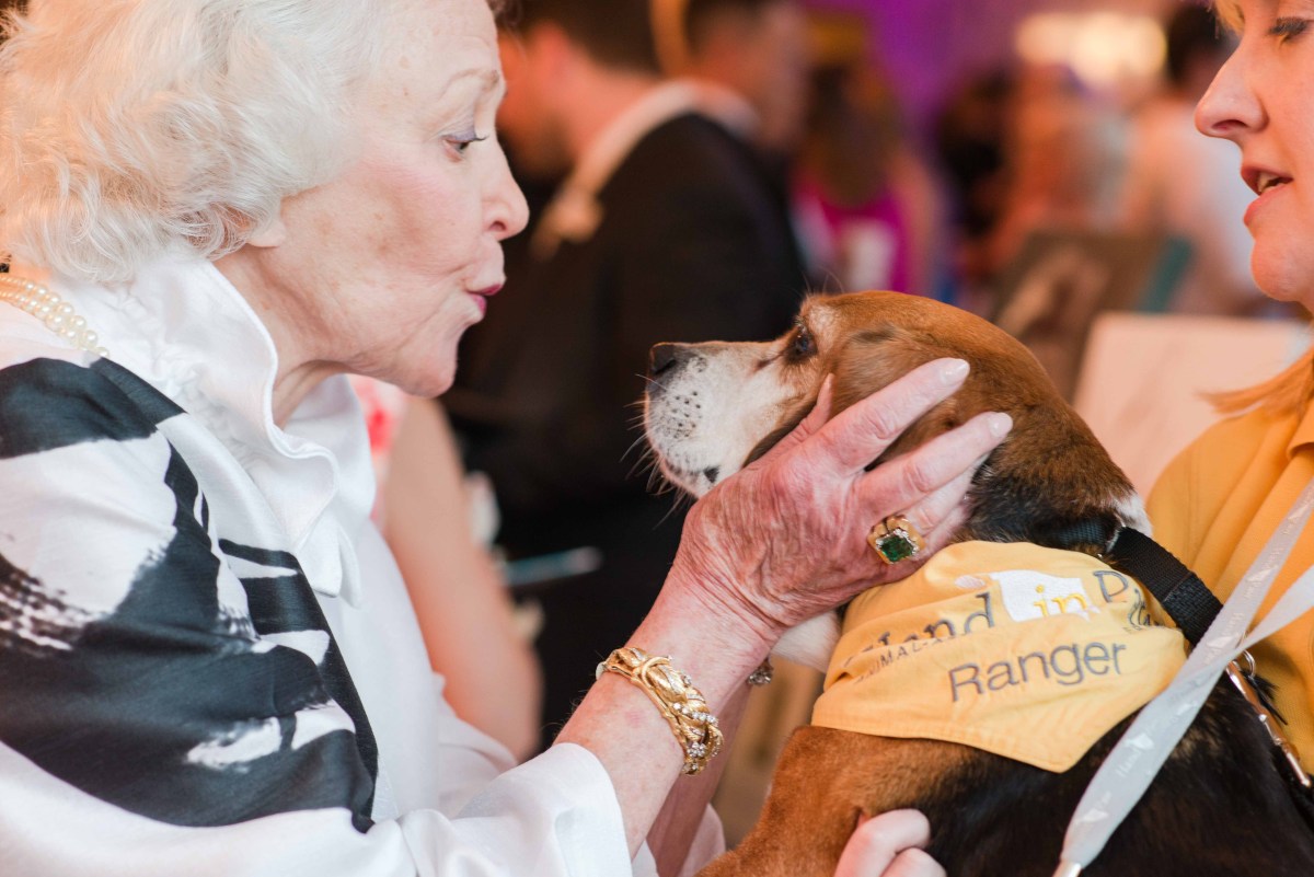 An elderly woman gently cups the face of Ranger, a beagle wearing a Hand in Paw vest, at a charity event