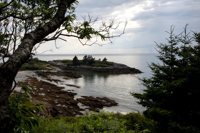Explore all of our stories on recent shark sightings in southern Maine