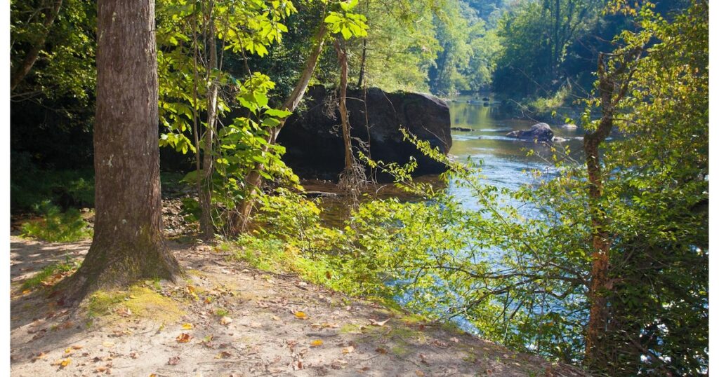 ICE sets 'trap' for Latino families at national forest swimming hole
