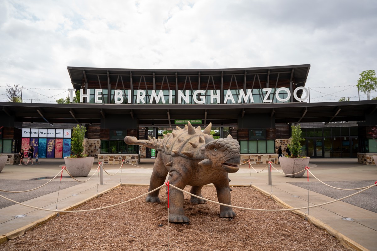 Birmingham Zoo (Nathan Watson / Bham Now)