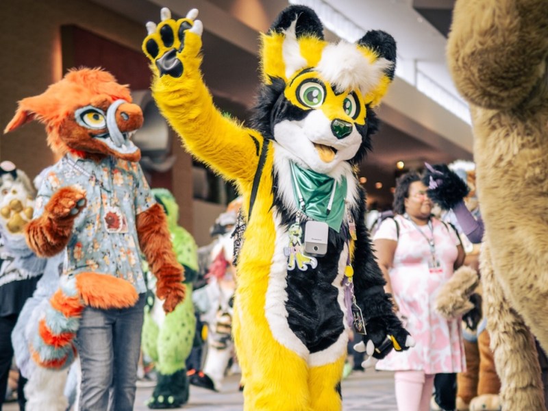 Furry gathering Megaplex returns to Orlando for a long weekend