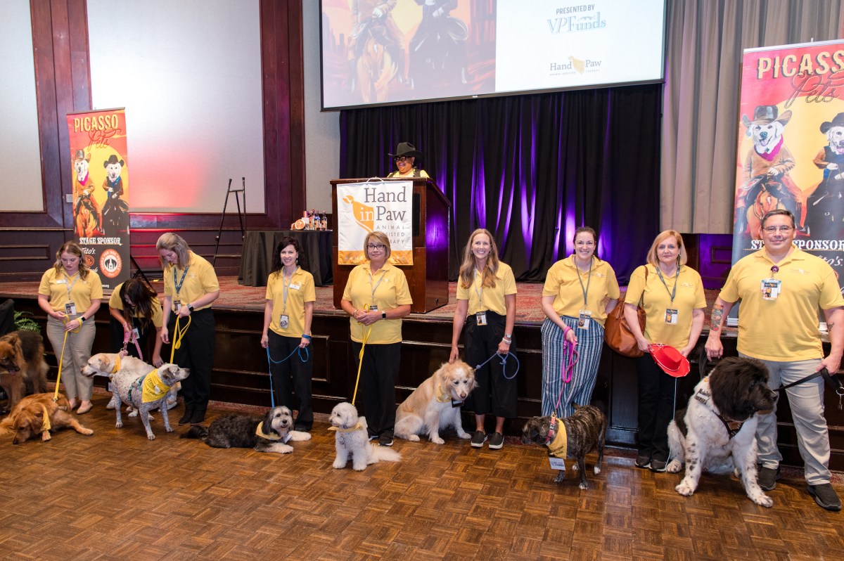 Hand in Paw Animal-Assisted Therapy volunteers in yellow shirts pose with therapy dogs at the Picasso Pets fundraising event