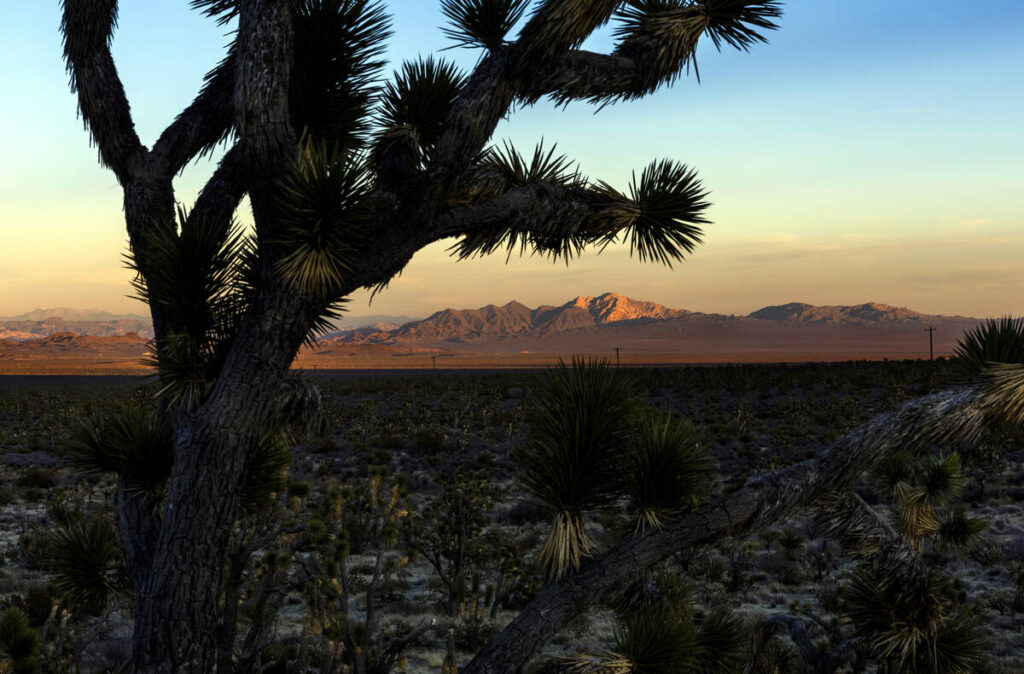 The last of the day's sun catches the peak of Spirit Mountain within the Avi Kwa Ame proposed N ...