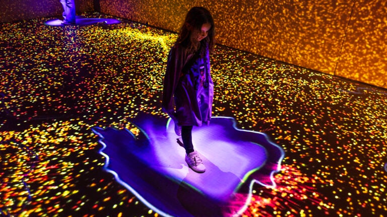 Downtown Boston immersive art museum announces closure