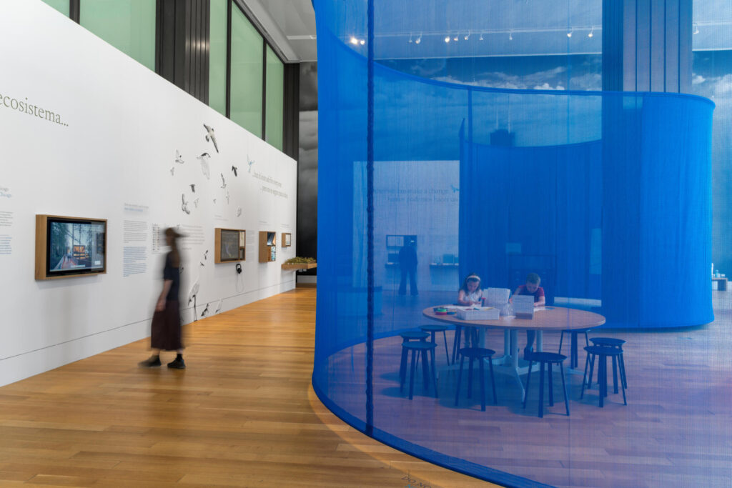 Flyway City: Architecture for a Flourishing Ecosystem | 08/24/2026