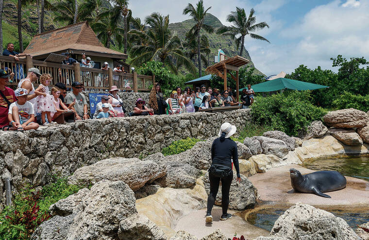 Hawaiian Council buys Sea Life Park, assumes stewardship