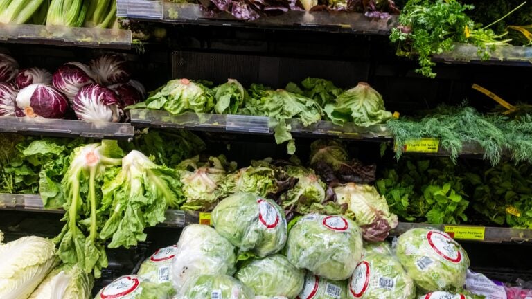 Massachusetts is now on the list of states reporting a cyclospora outbreak