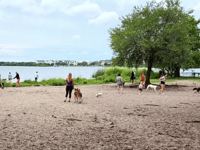 Winter Park advances plan for paid parking at Lake Baldwin Park, Dinky Dock