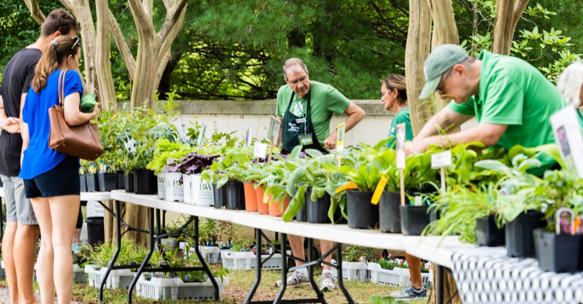people browsing plants at a plant sale