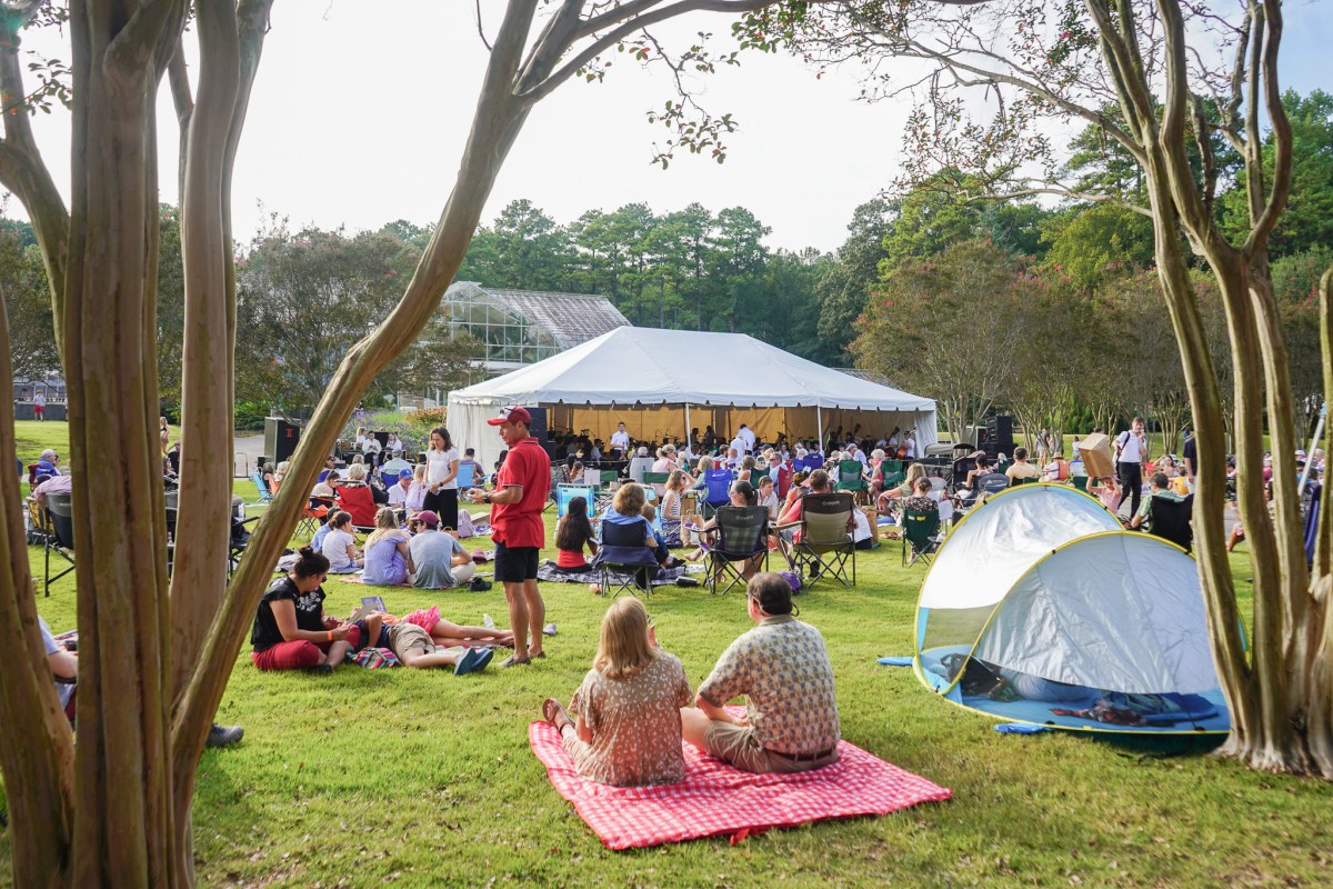 people enjoying a spring concert outdoors